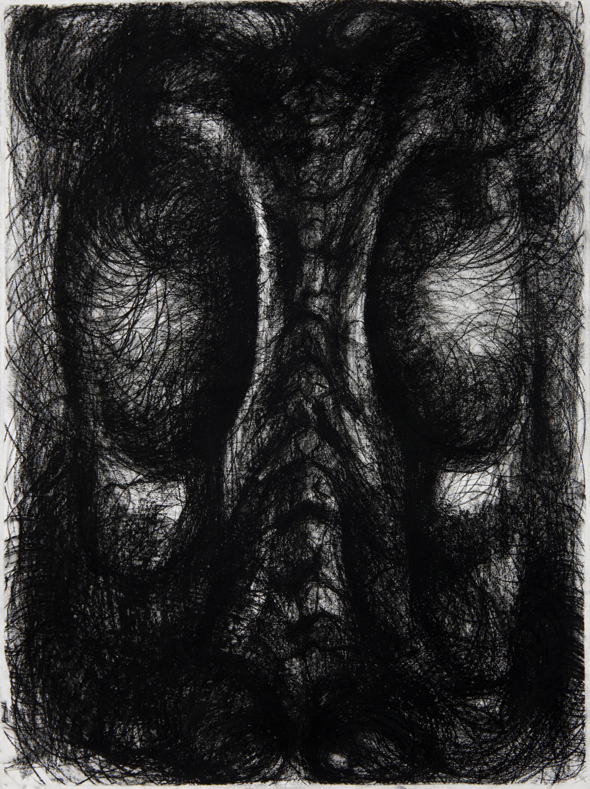  Vortex Study, 2018 135x 100 cm charcoal on paper 