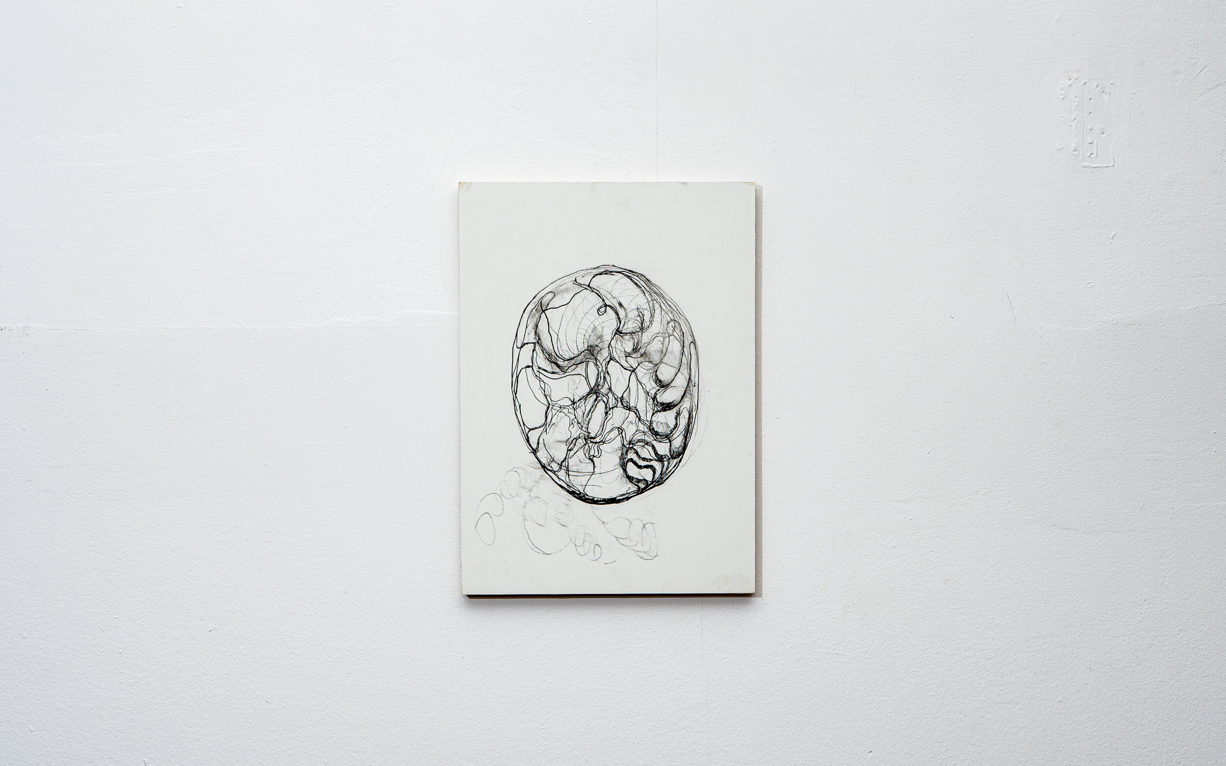  VOID EGG, 30 x 42 x 2 cm, 2020,  ink on canvas mounted on wood panel 